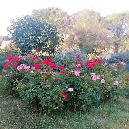 La Casina *